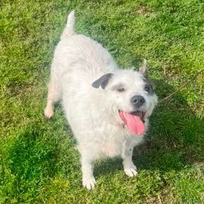 Callie F thumbnail 5