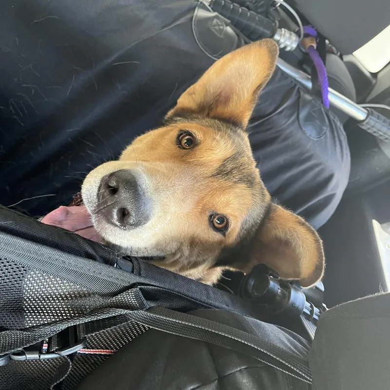 Pluto