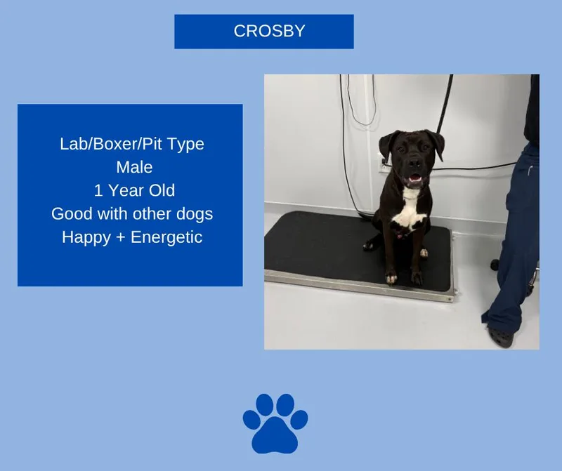 Crosby