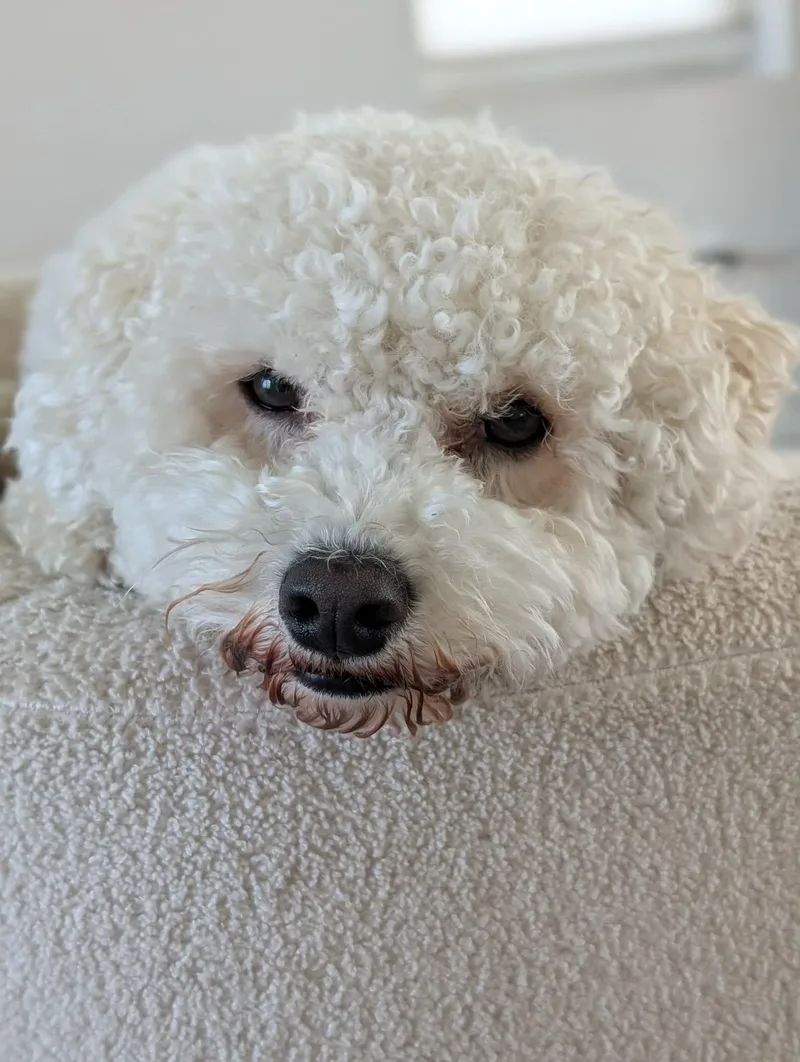Charlie