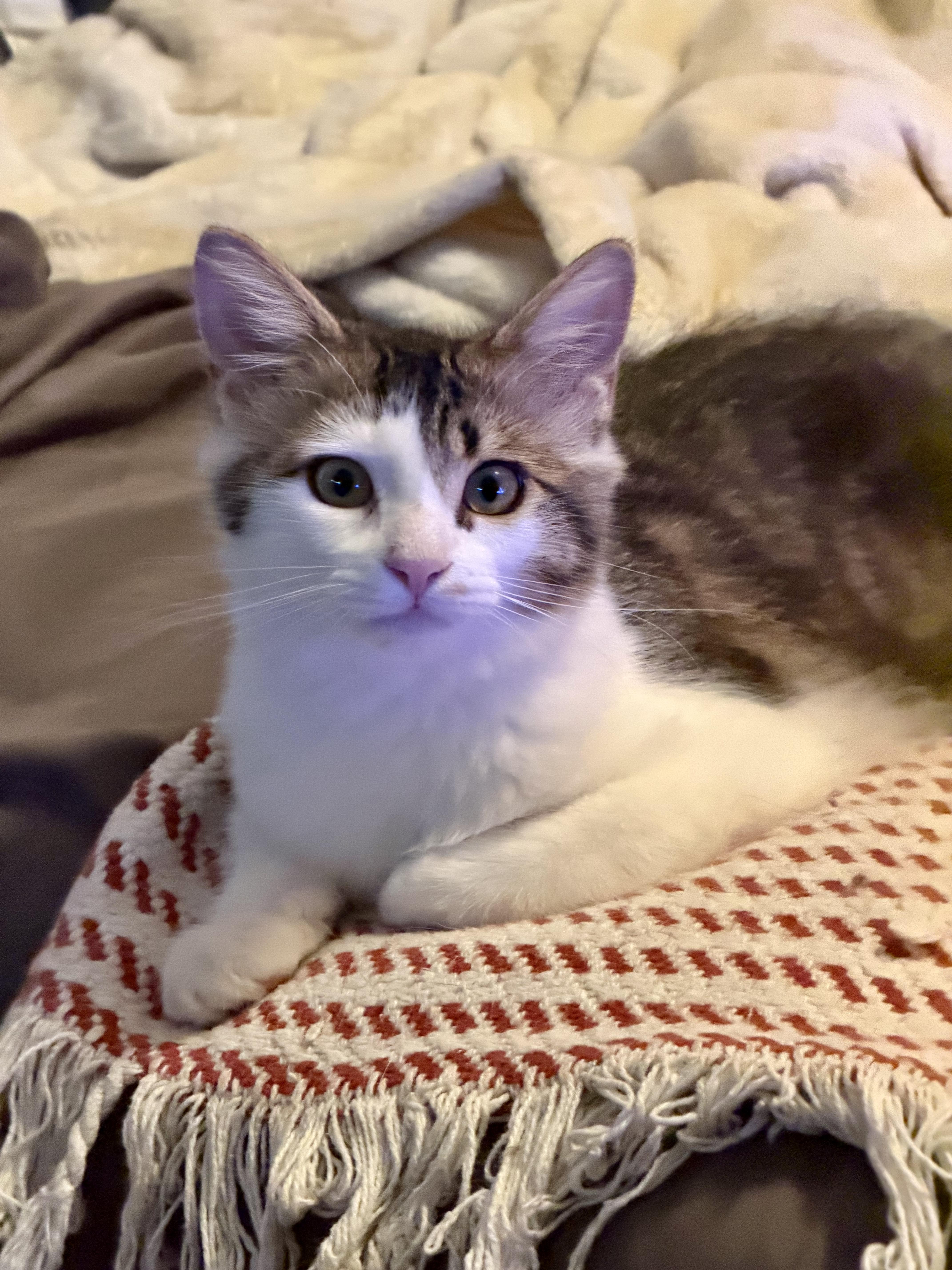 Charlee PB thumbnail 2