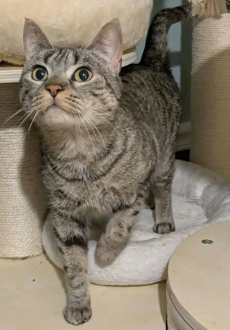 Nika Randall thumbnail 2