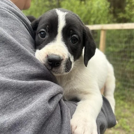 The Cure thumbnail 2