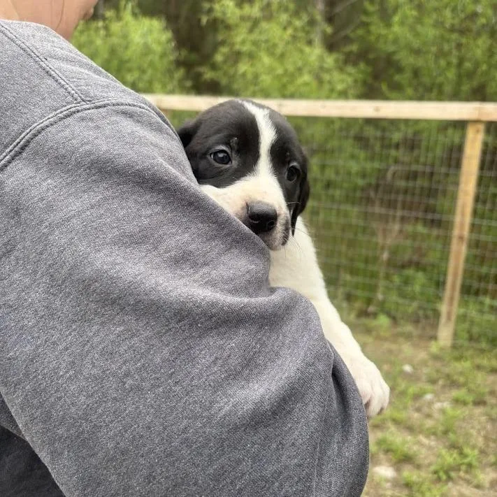 The Cure thumbnail 3