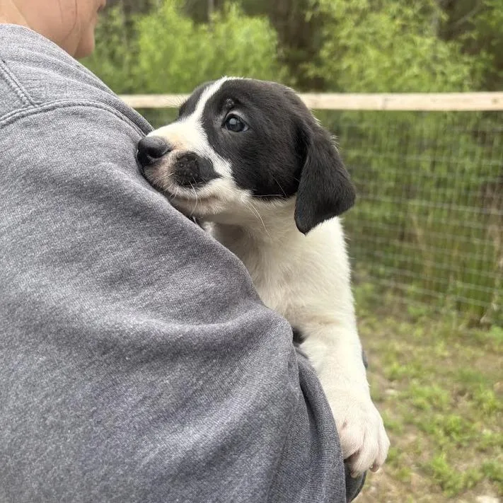 The Cure thumbnail 4