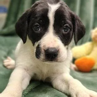 The Cure thumbnail 5