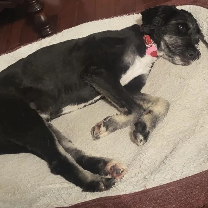 Chloe thumbnail 3