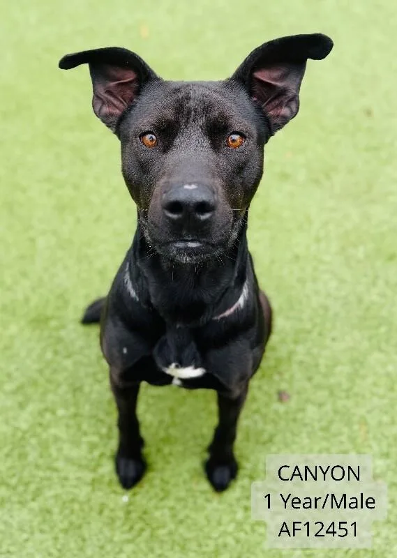 Canyon thumbnail 2