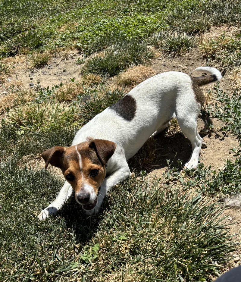 Fiona