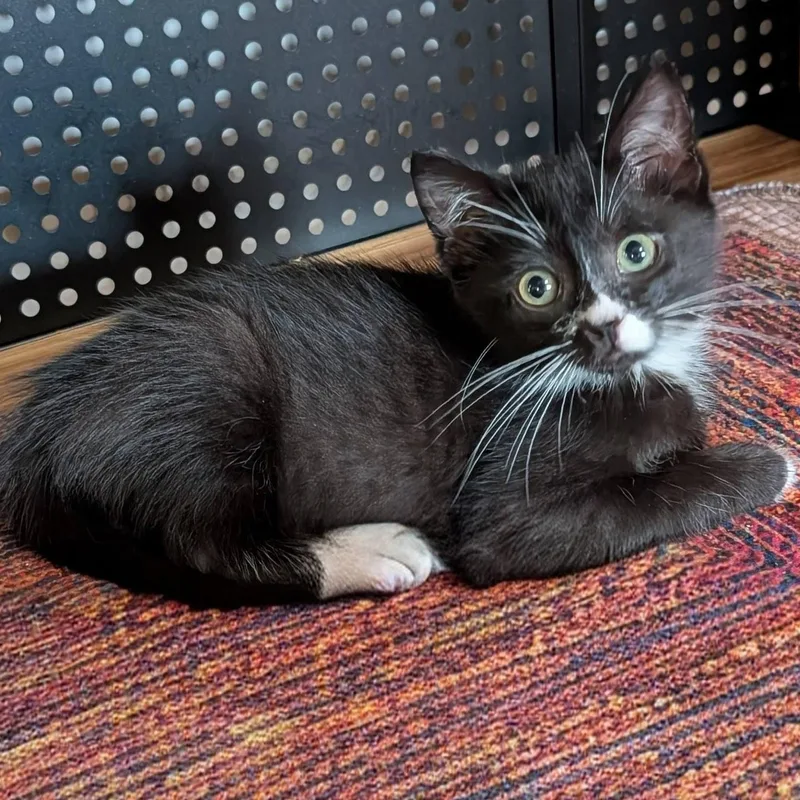 Pete