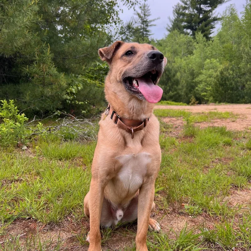 Desperado thumbnail 2