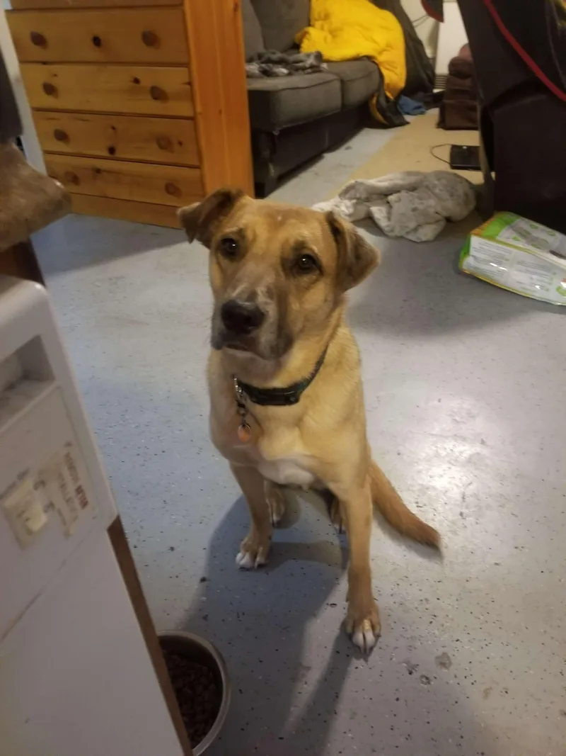 Desperado thumbnail 3