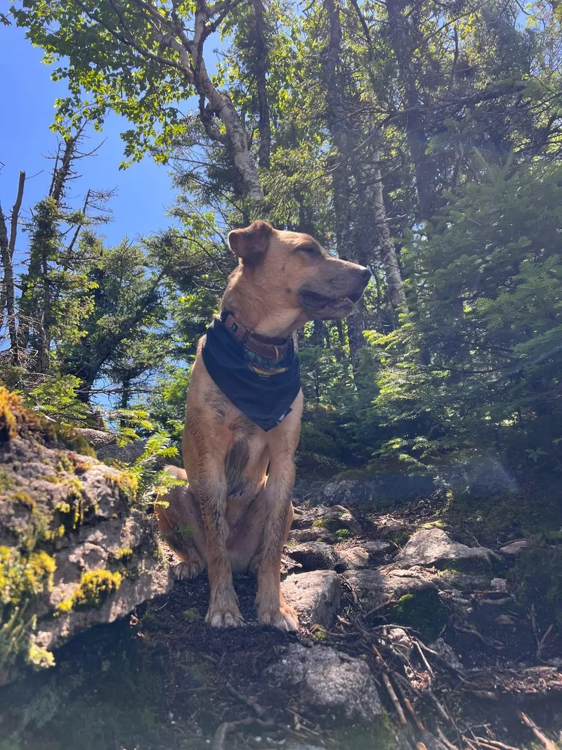 Desperado thumbnail 5