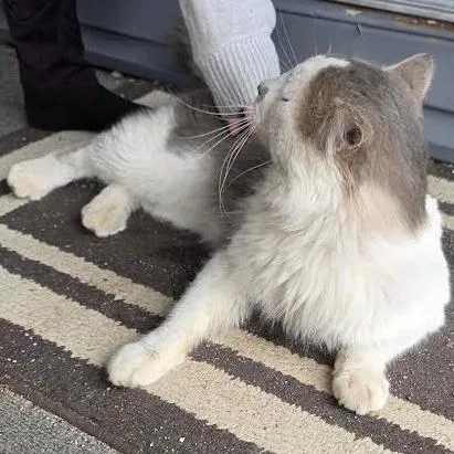 Raymond C thumbnail 2