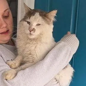 Raymond C thumbnail 3