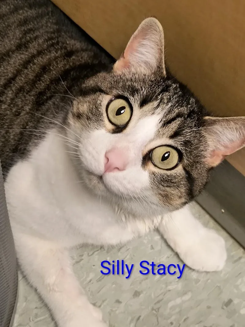 Stacy thumbnail 3
