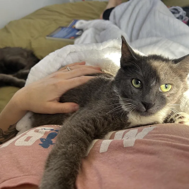 Peanut thumbnail 2