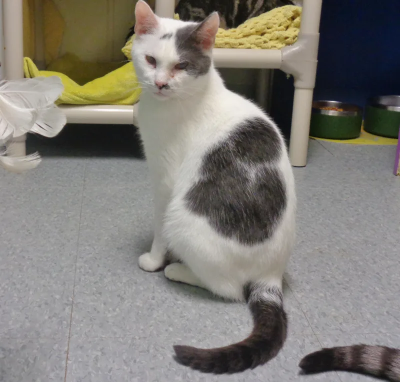 Puerto Rico thumbnail 2