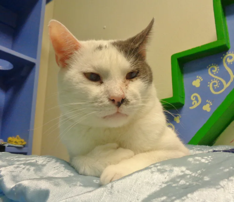 Puerto Rico thumbnail 4