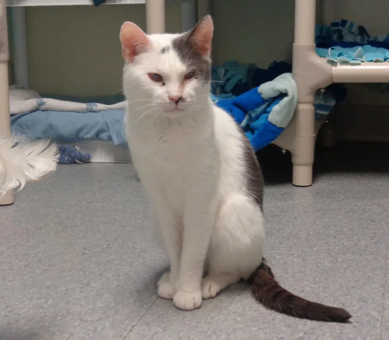 Puerto Rico thumbnail 6