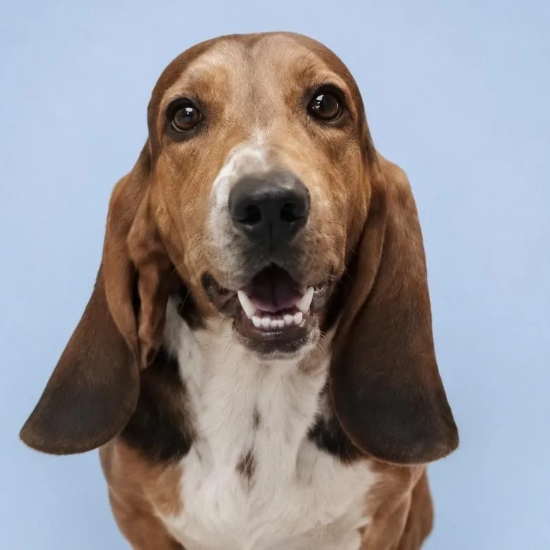 Roscoe