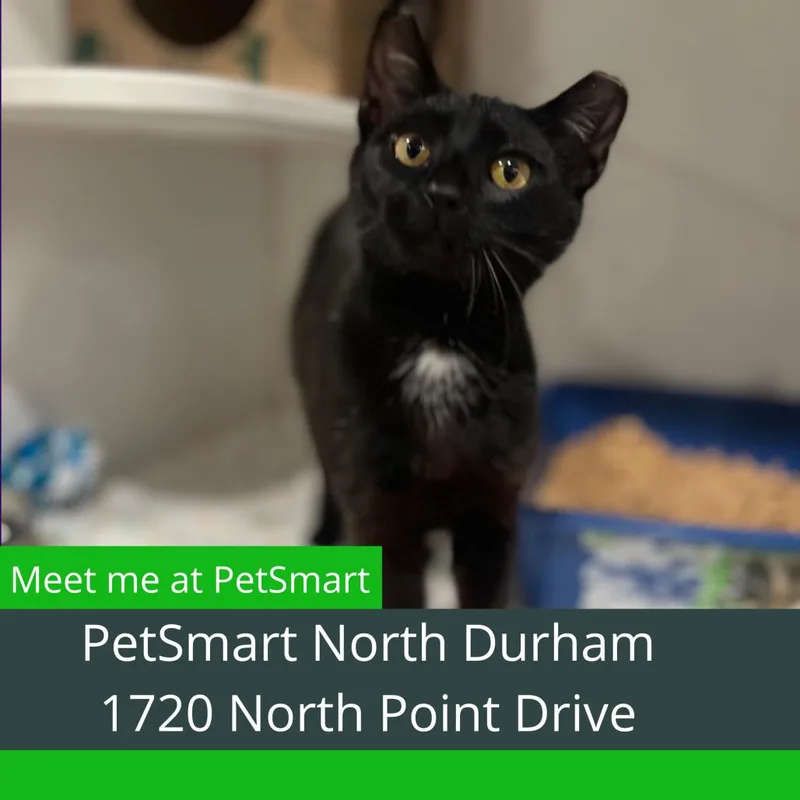 Bungee Jump thumbnail 2