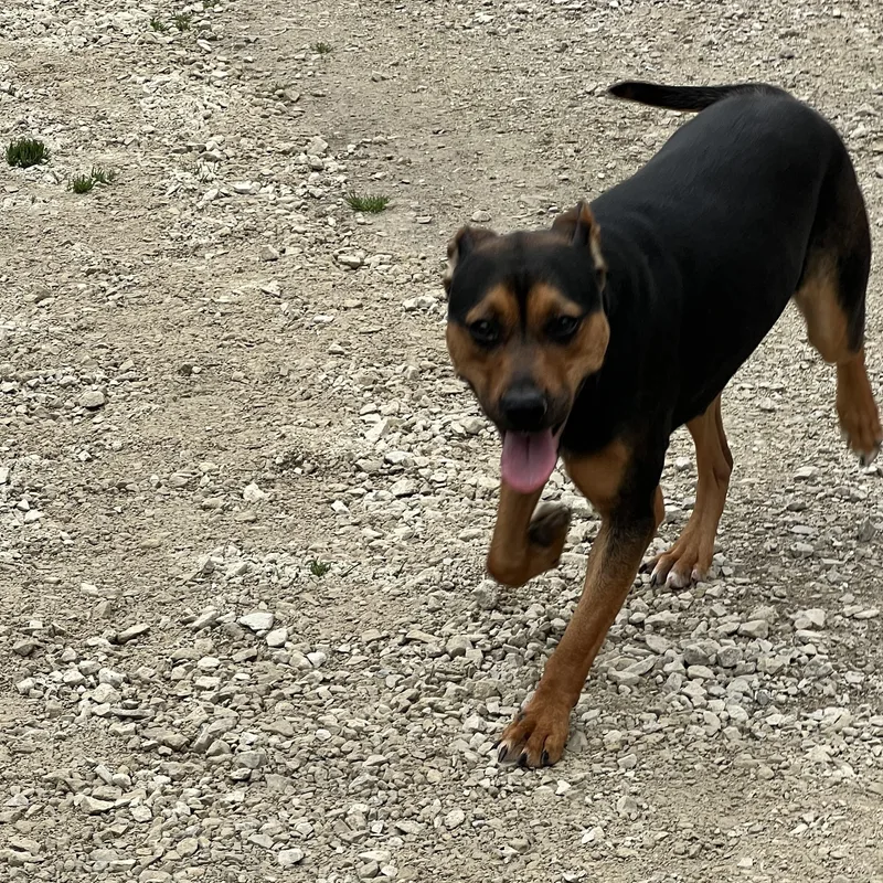 Francine thumbnail 2