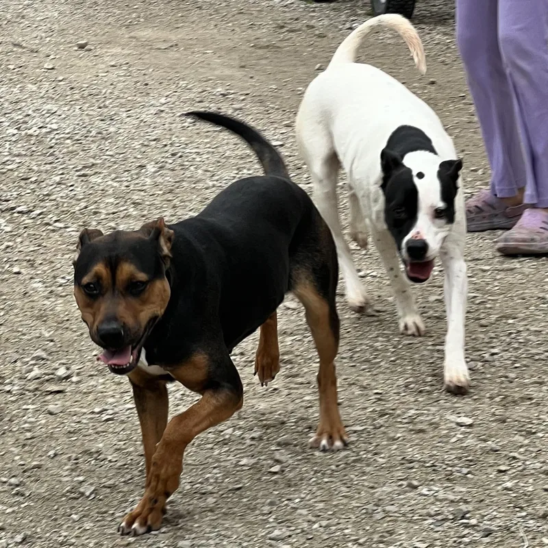 Francine thumbnail 3