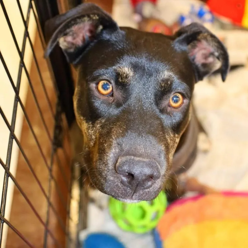 Ursula Tw thumbnail 2