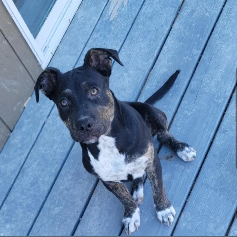 Ursula Tw thumbnail 3