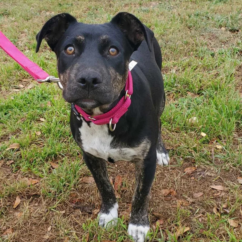 Ursula Tw thumbnail 4