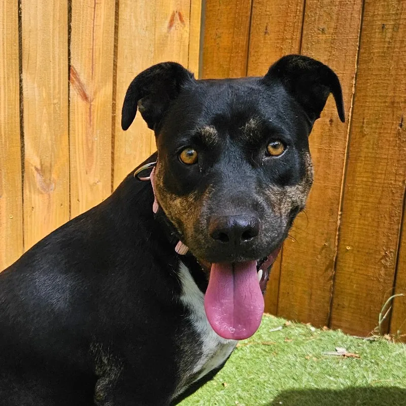 Ursula Tw thumbnail 5