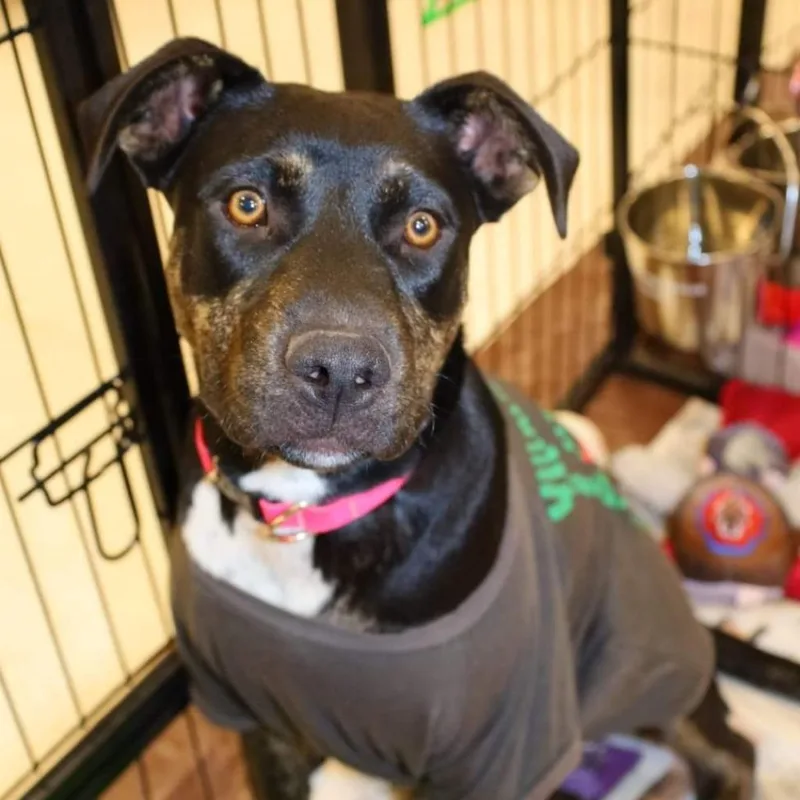 Ursula Tw thumbnail 6