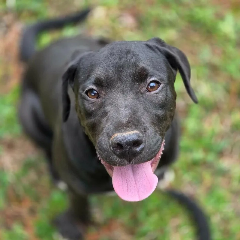 Berkshire thumbnail 2