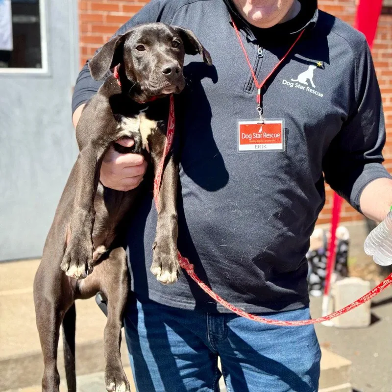 Berkshire thumbnail 3