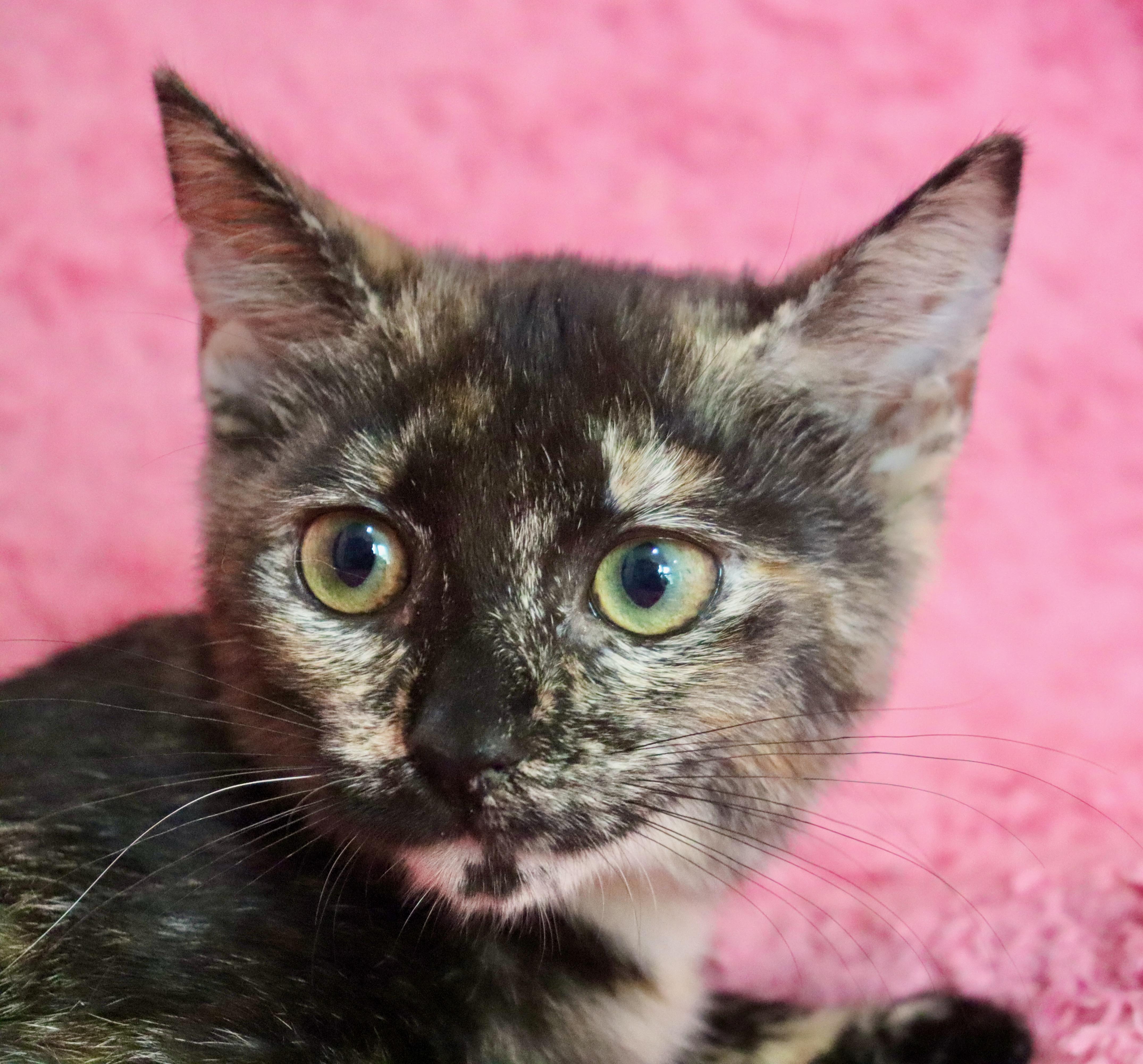 Lida thumbnail 4