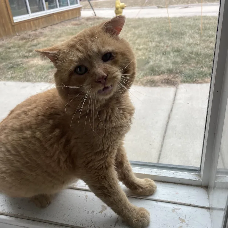 Hercules thumbnail 2