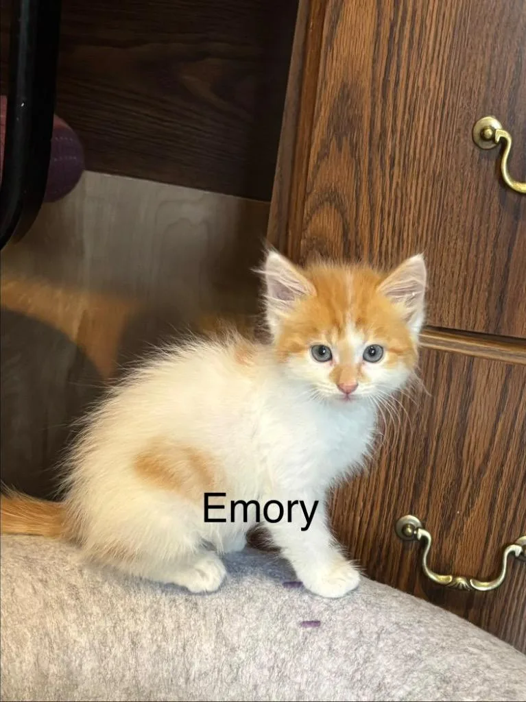 Emory