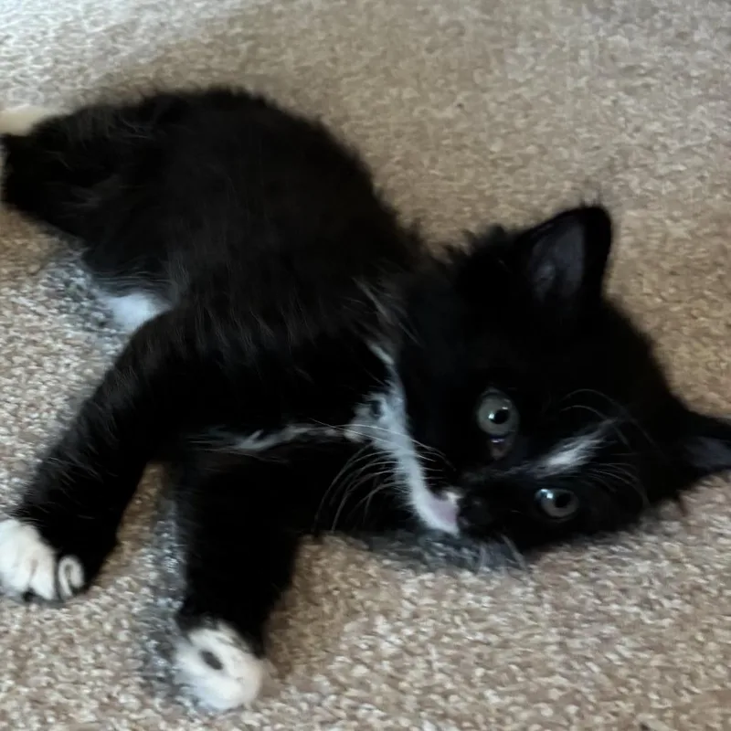Minnie thumbnail 4
