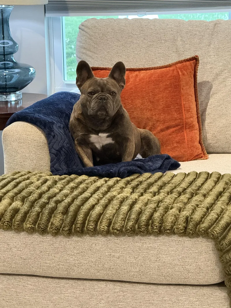 Bubbles