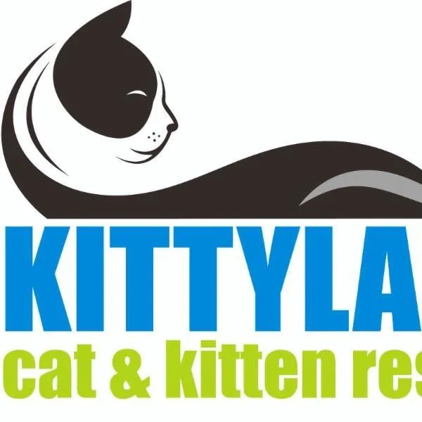 A young medium-sized female Gray / Blue / Silver Domestic Medium Hair cat named Hope for adoption in Desert Hot Springs, CA