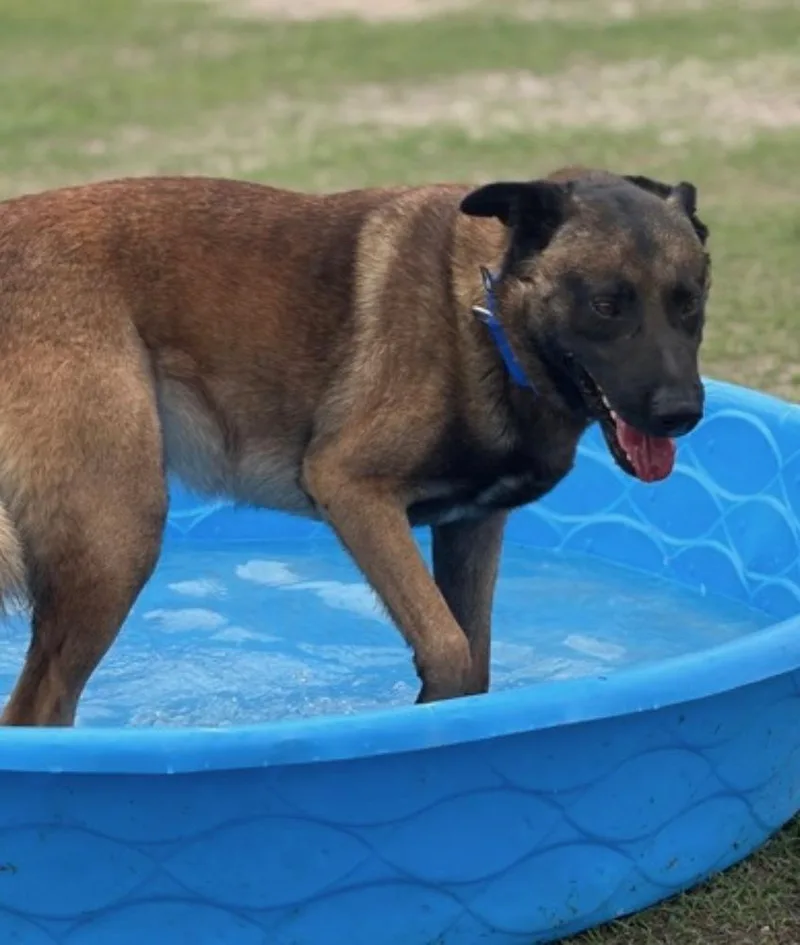 Meatball  Located In thumbnail 2