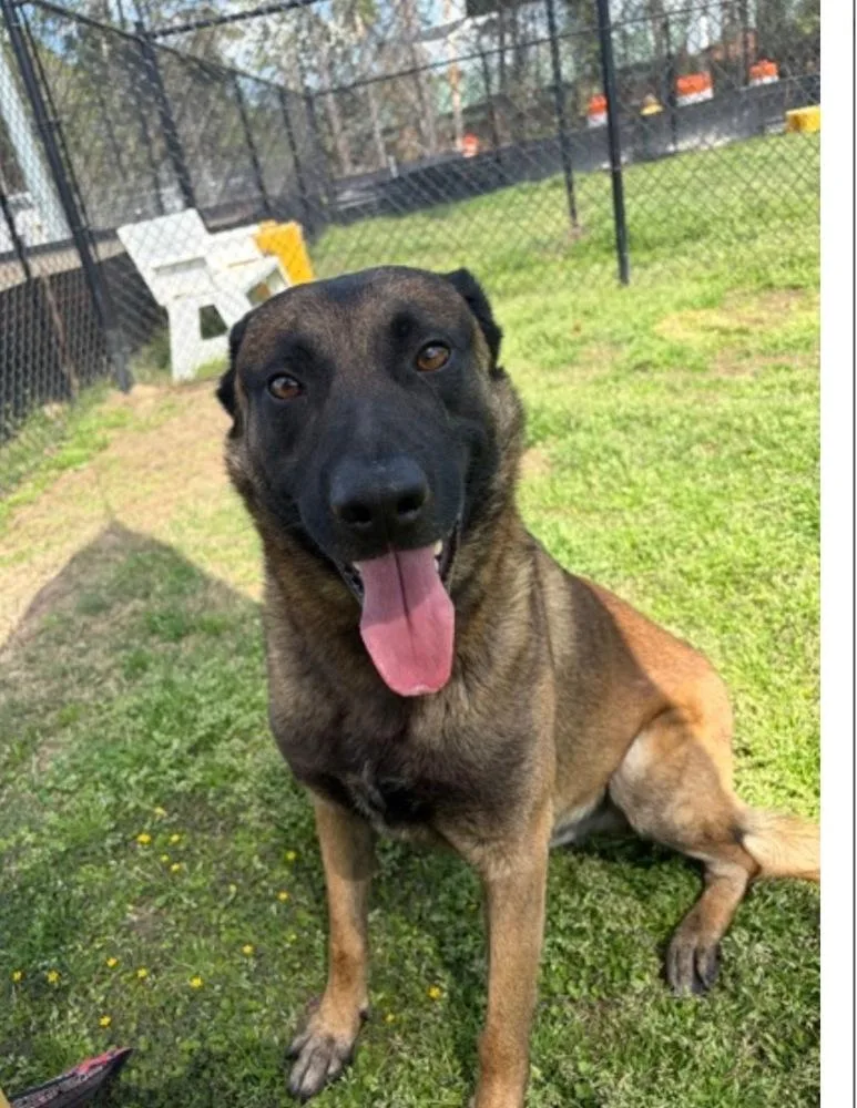 Meatball  Located In thumbnail 3