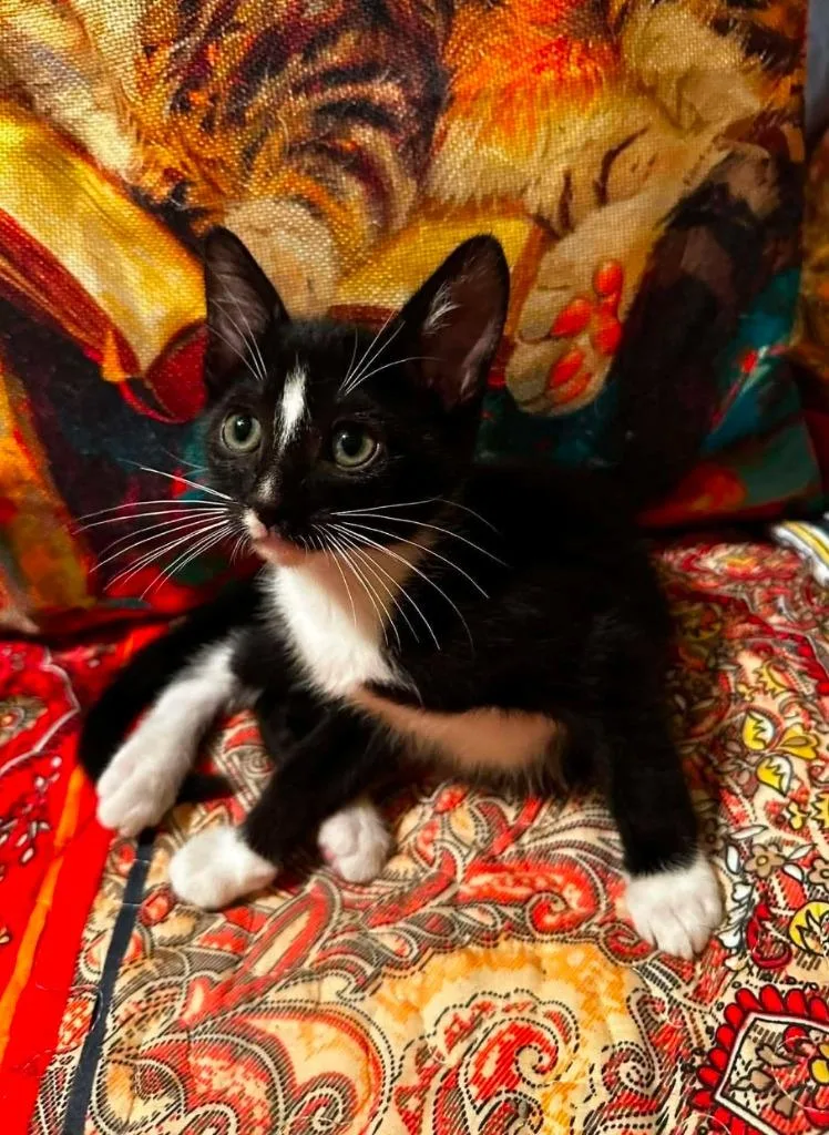 Tux