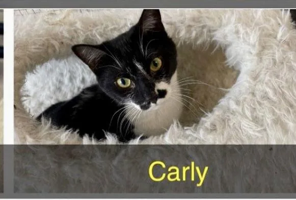 Carly thumbnail 2