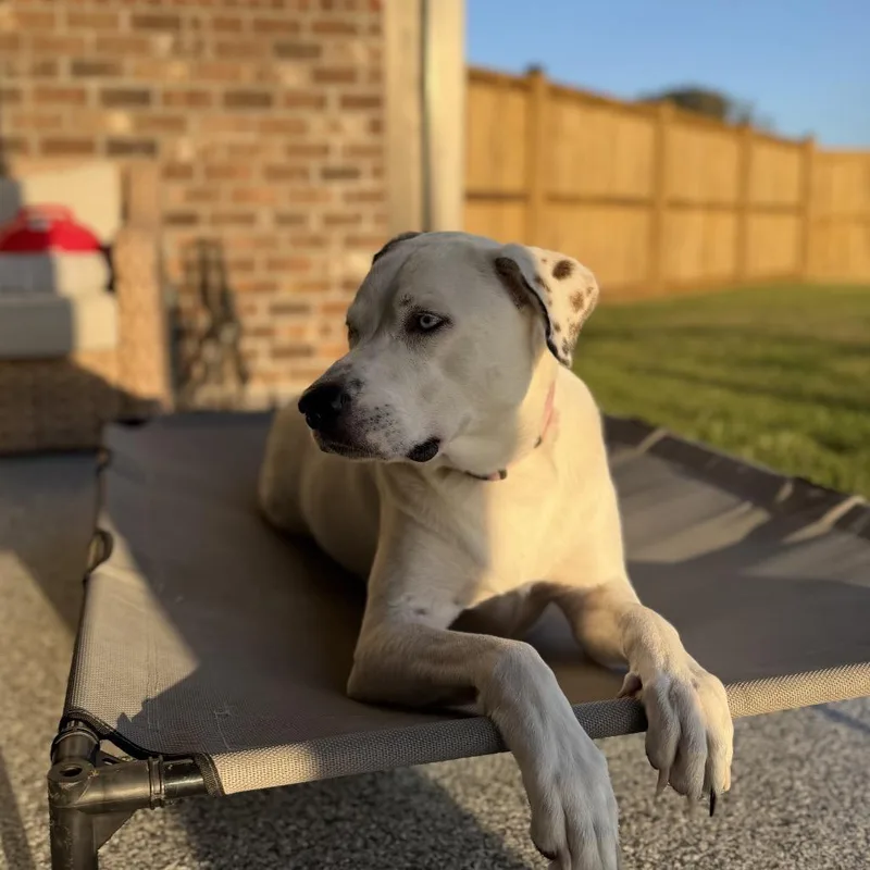 Lexi thumbnail 5