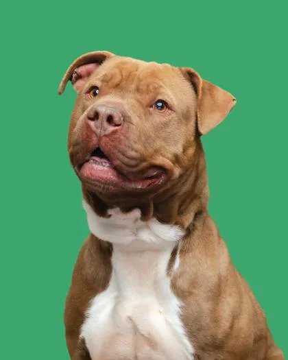 Hercules thumbnail 2