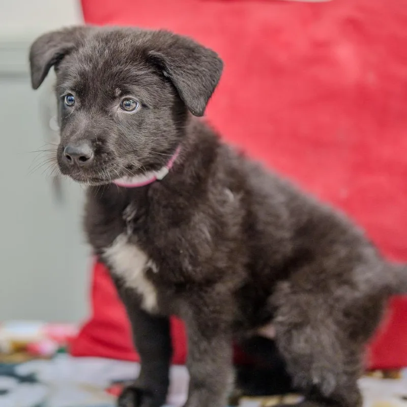 Maggie Mae thumbnail 2