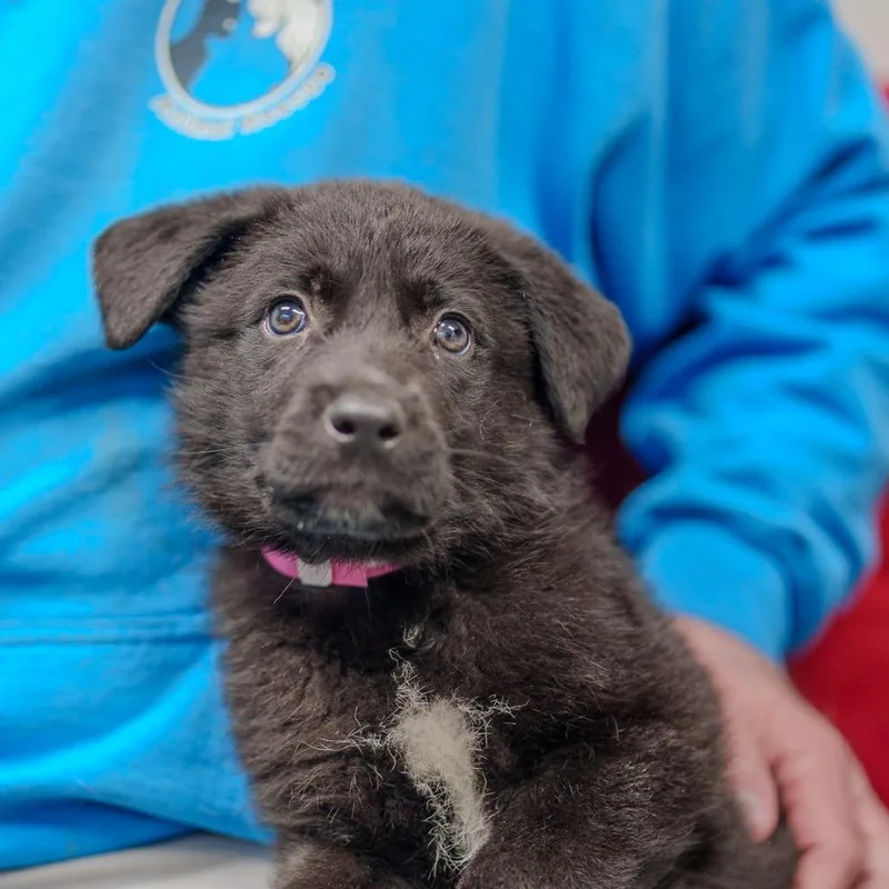 Maggie Mae thumbnail 3