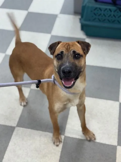 Ice Cream thumbnail 2